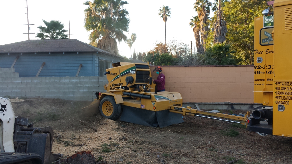 residential tree service residential tree service