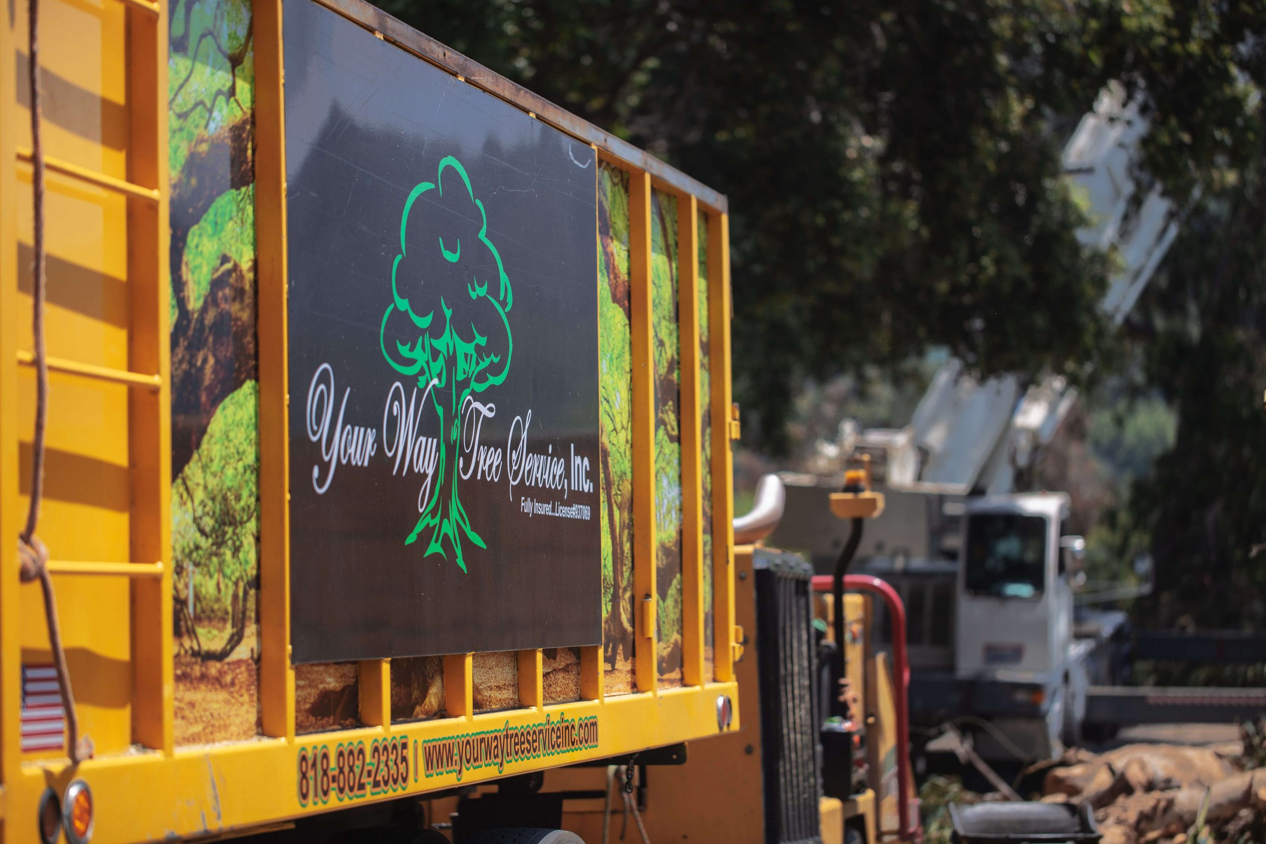 Tree Service Burbank